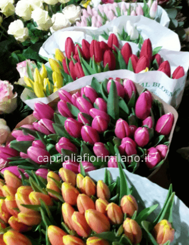 Bouquet di tulipani colori in base alla disponibilità