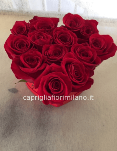 cuore rose rosse